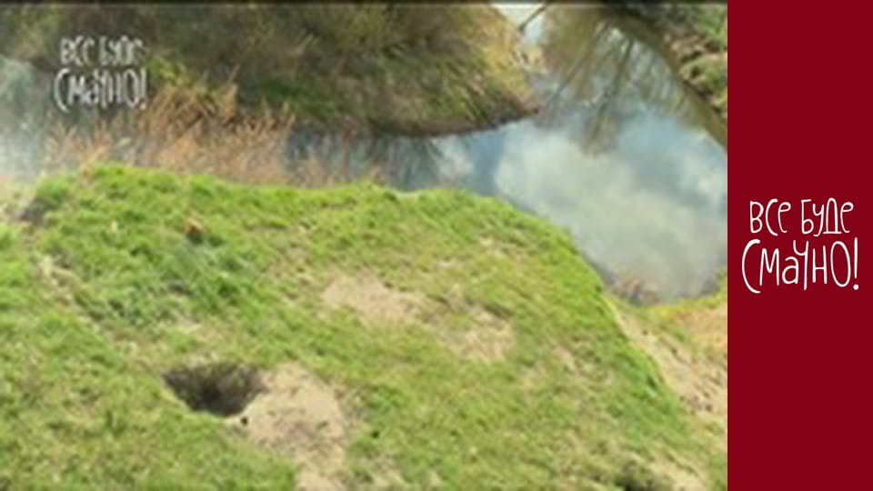 Выпуск 335 - Пикник, Часть 1