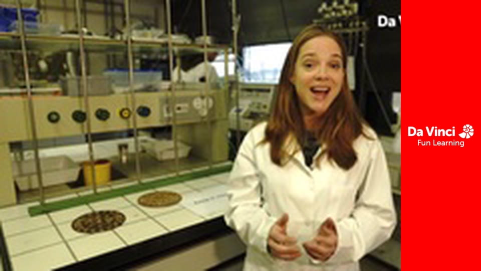 Футуріс - Сонячна енергія: наступне покоління