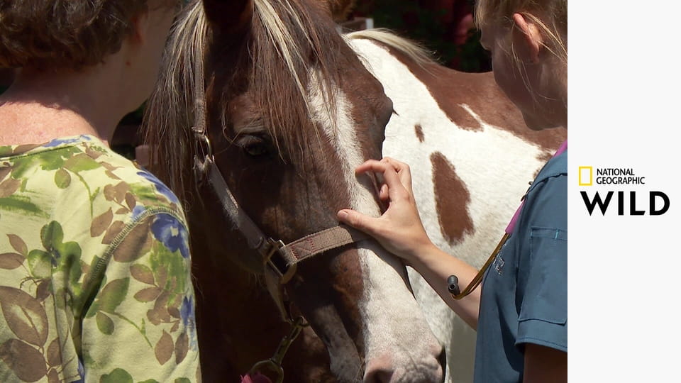 Невероятный доктор Пол S21E7