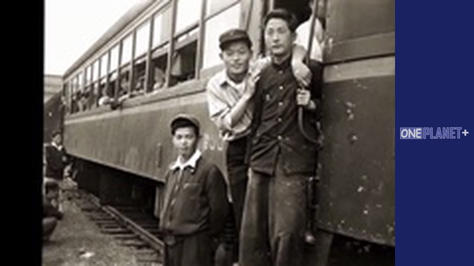 Железнодорожные истории - серия 5