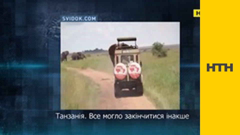 "Вещественное доказательство".