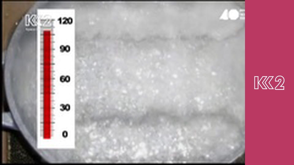 Смак Карпат E28 - Деруни з білими грибами