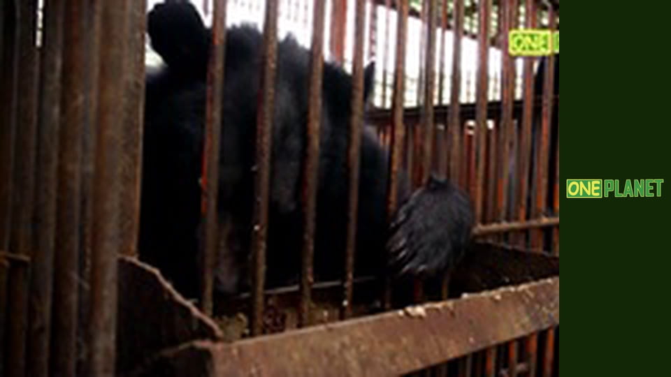 Сто чудес света, 2 сезон, 7 эп. Терракотовая армия.