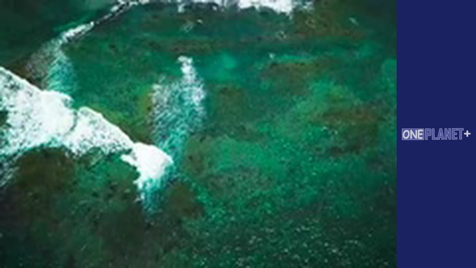 Сила природы, Сезон 1, Выпуск 6