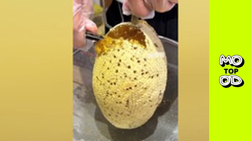 Top Mood, Сезон 2, Випуск 89