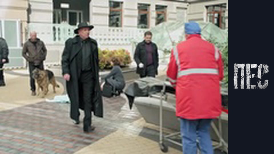 Пес, Сезон 6, Серія 13