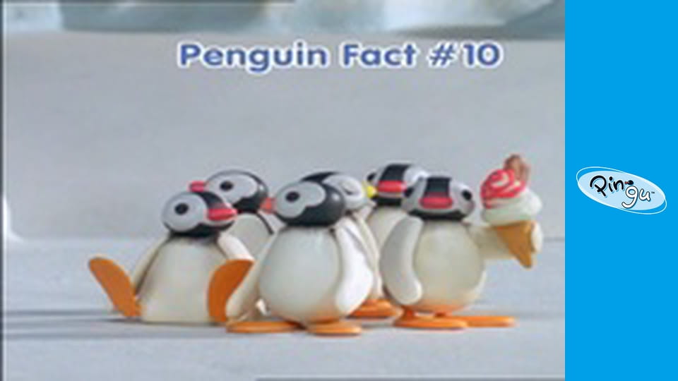 The Pingu Show Сезон 1 Епізод 63