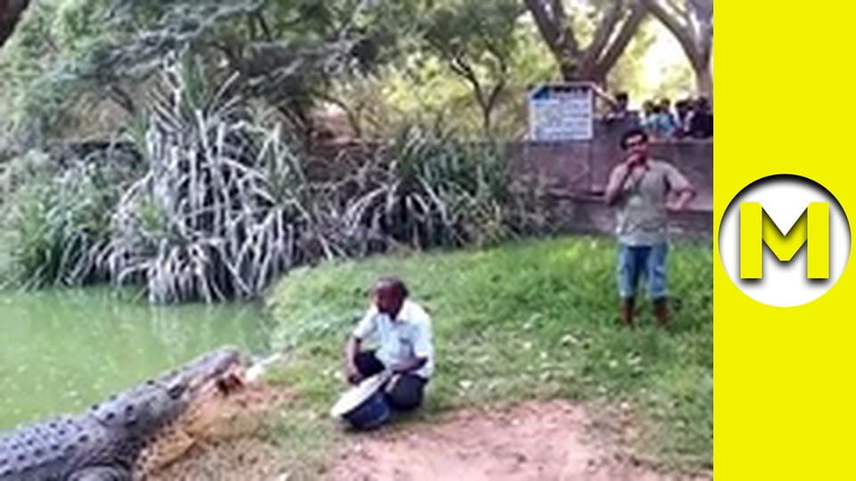 TOP (Max TV) - сезон 3 - серія 40