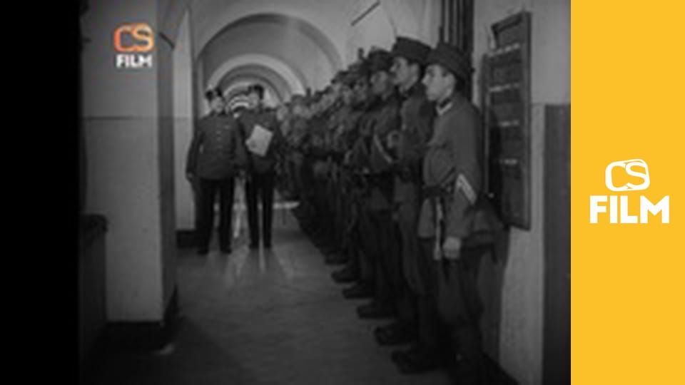 Hvězda zvaná Pelyněk