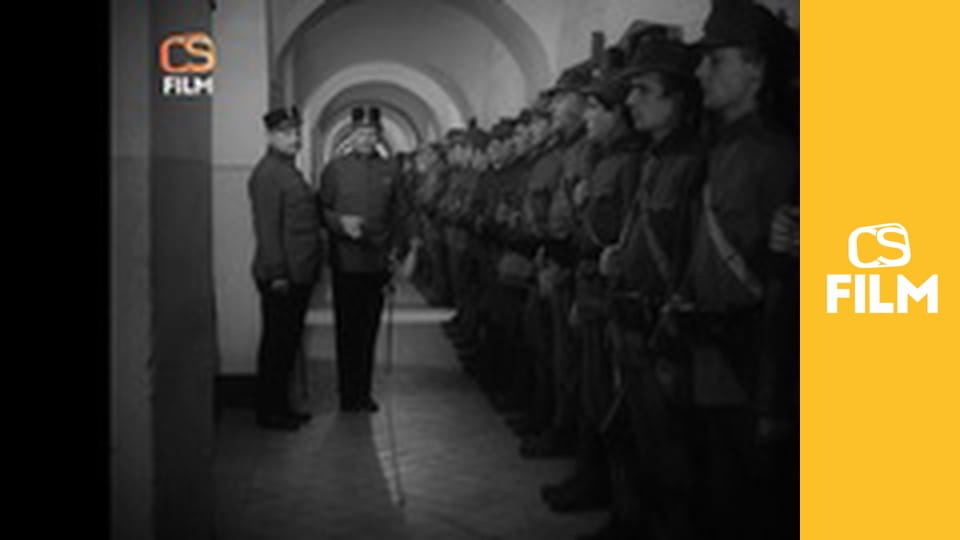 Hvězda zvaná Pelyněk