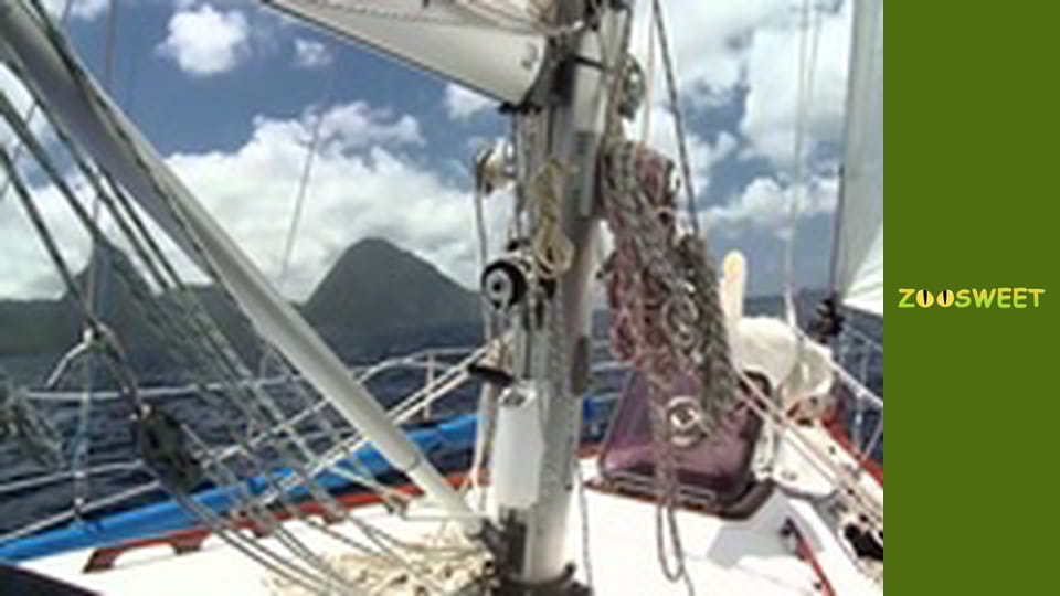 Повернення до природи - серія 2