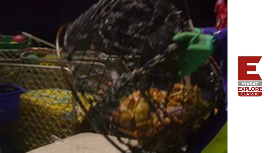 Австралійські мисливці на лобстерів Сезон 5 Епізод 8