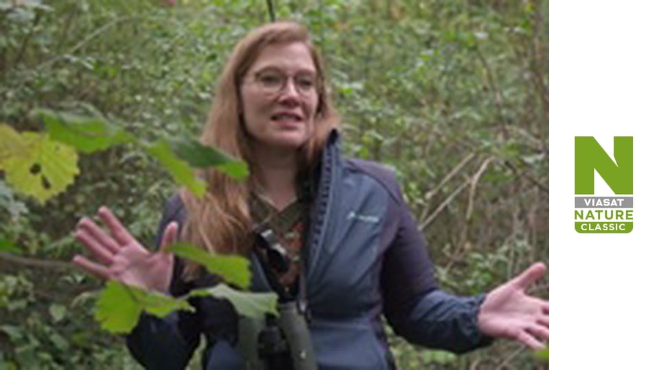 Animals Decoded Season 1 Episode 1