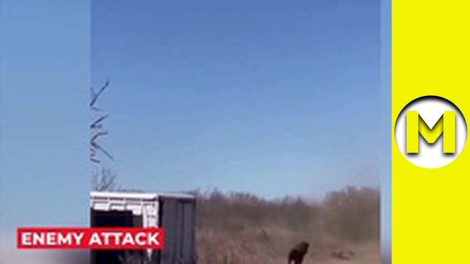 Max TV - сезон 1 - серія 65