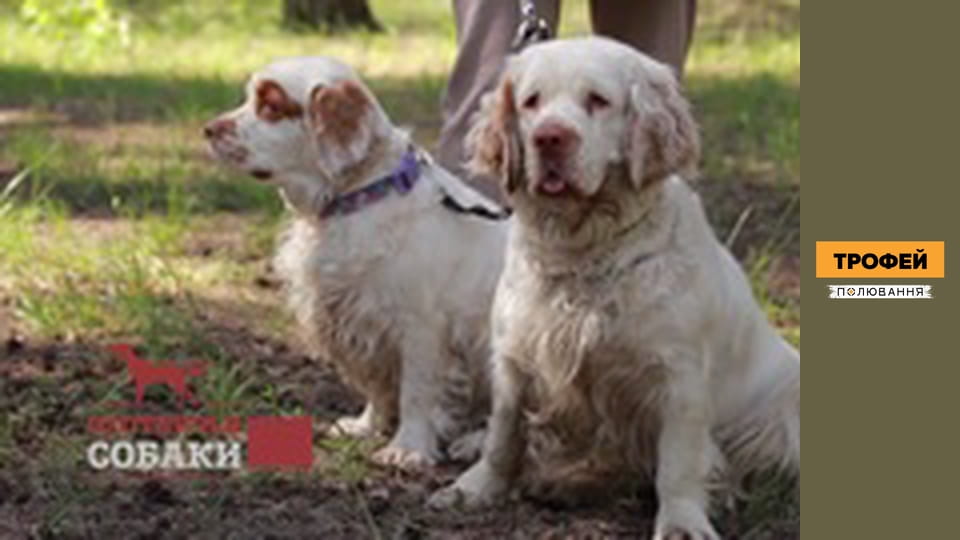 Мисливські собаки. Сезон 1 Епізод 26