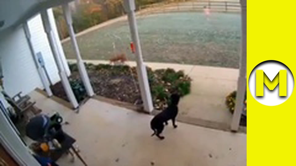 Max TV - сезон 1 - серія 33