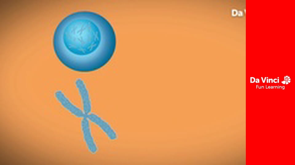 Мастерская знаний - Чудеса ДНК