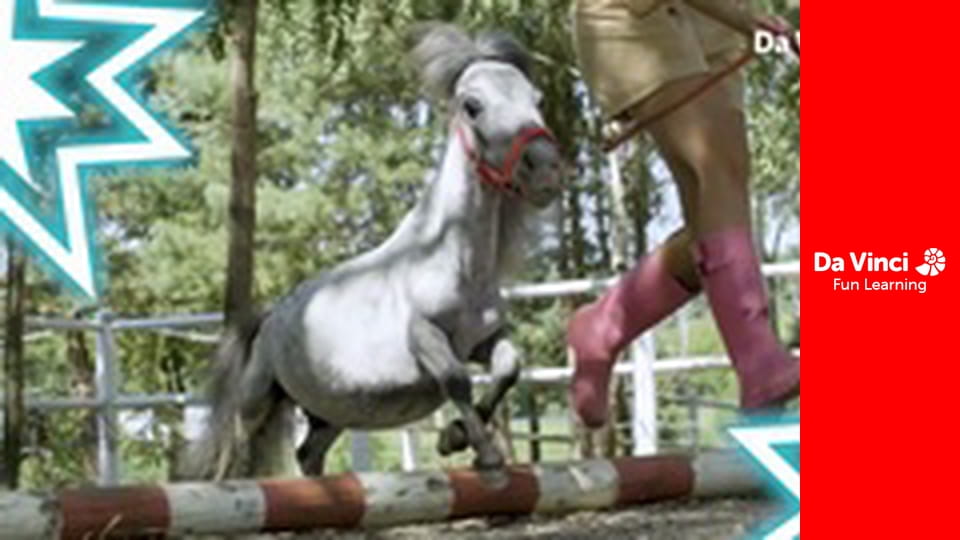 Один талант - Брати Зейн: відомі циркачі