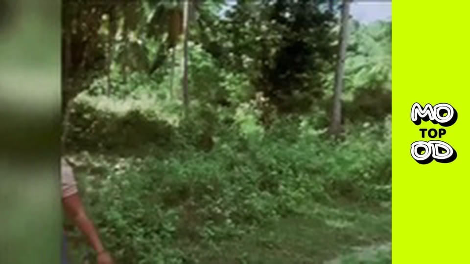 Top Mood, Сезон 2, Випуск 53