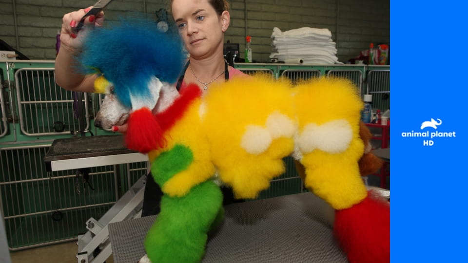 Экзотические питомцы S1E5 - Человек и ящерицы