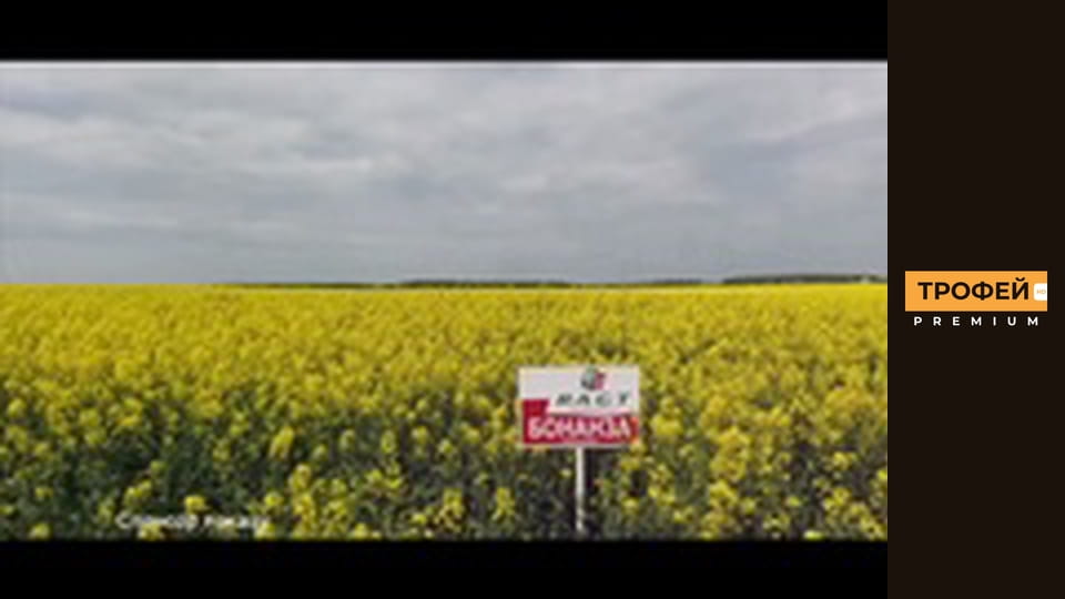 Спортінг. Серiя 37