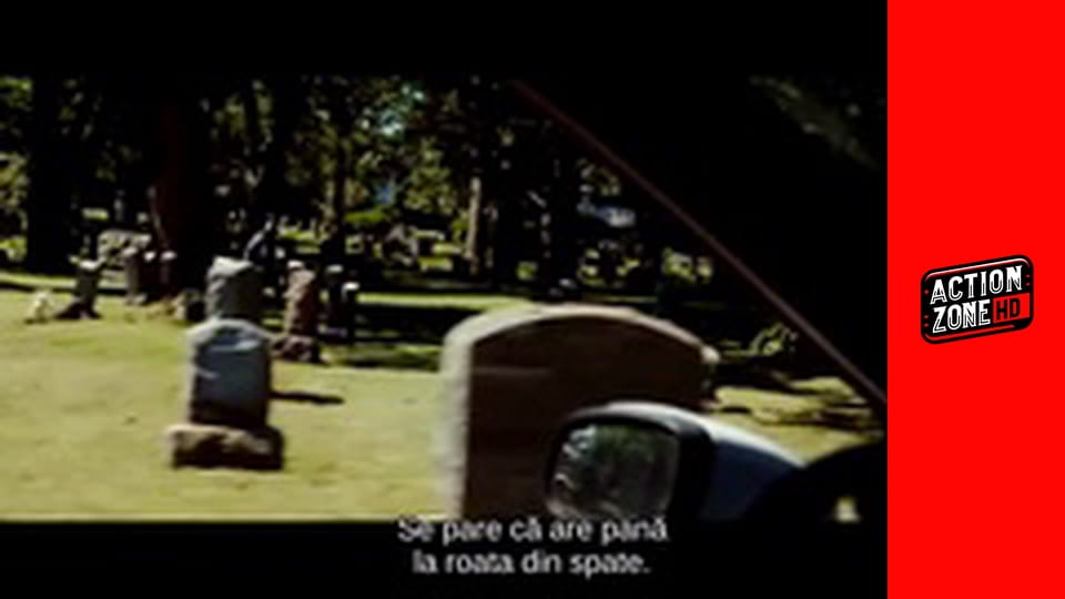 Locul din spatele pinilor