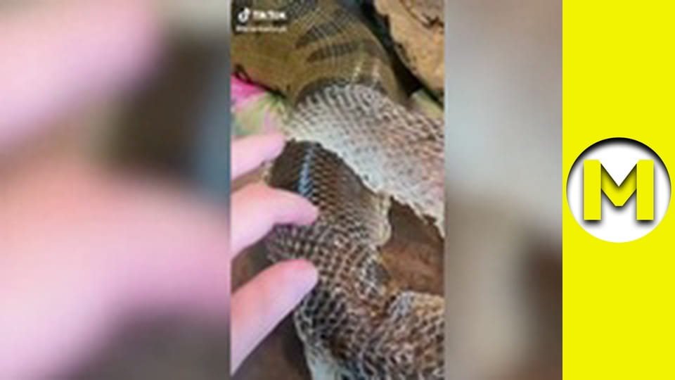 TOP (Max TV) - сезон 3 - серія 23