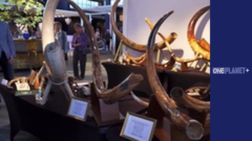 Удивительное рядом – серия 4