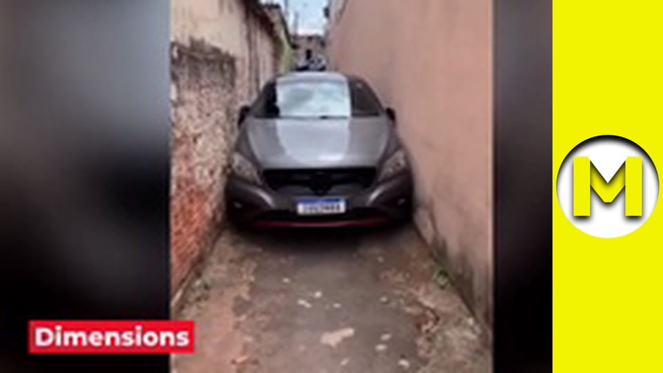 Max TV - сезон 1 - серія 15