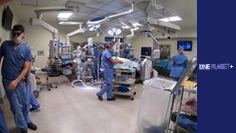 Ваш фантастический ум, Сезон 1, Выпуск 7