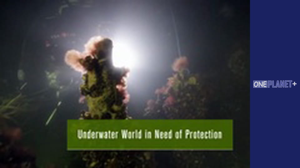 Просто неба - Національні парки. - серия 3