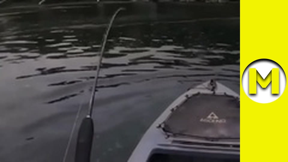 Max TV - сезон 2 - серія 8