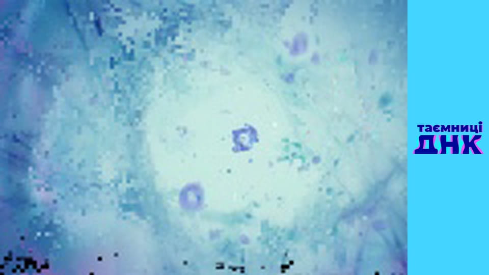 Secrets of DNA - Father from Semipolka