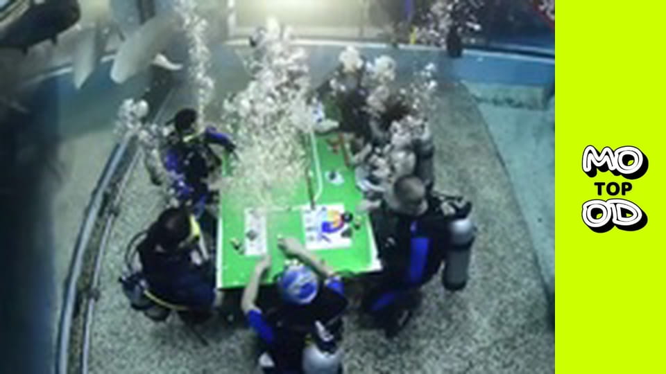 TopMood Сезон 2 Епізод 116