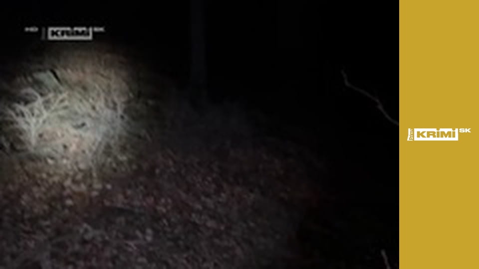 Vraždy v Midsomeri S7E1 - Lesný muž