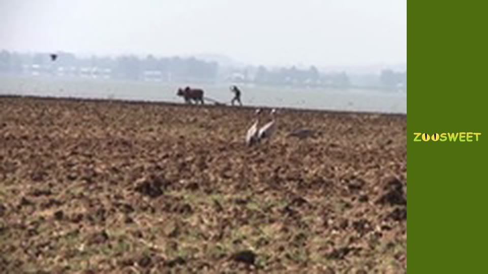 Моі улюбленці - серія 3