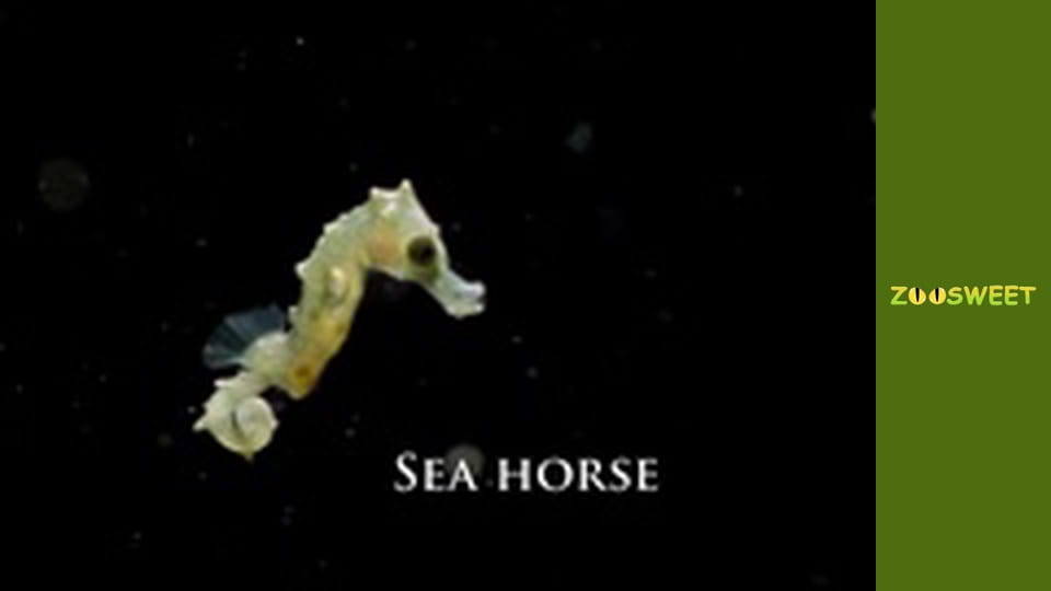 Мои друзья животные. Малыши - серия 18