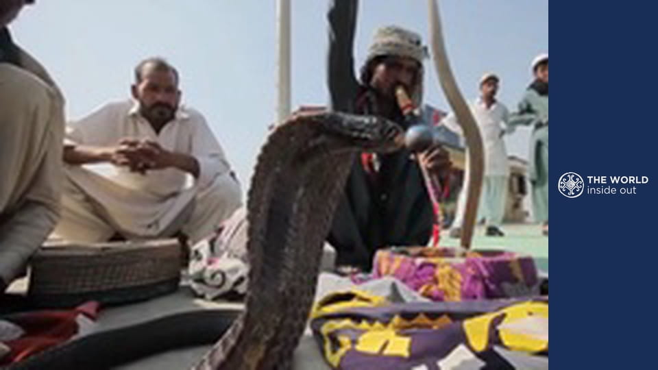 Camel rides and how Mongols survive the cold. China.