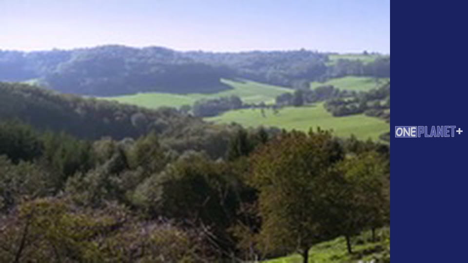 Art of Space. - episode 3