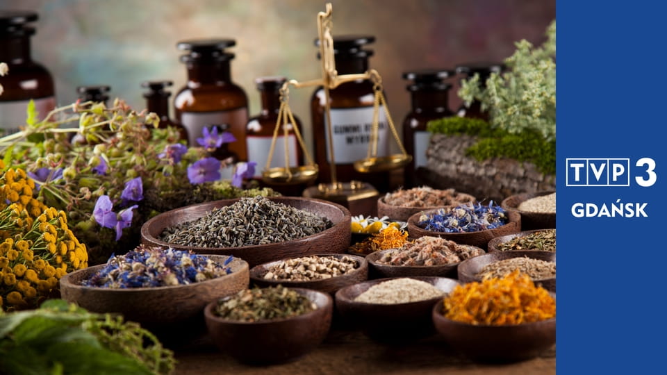 Zielnik regionalny E10