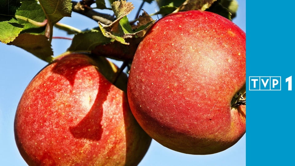 Magazyn rolniczy E693