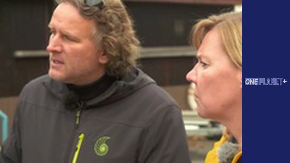 Искусство Пространства. - cерия 24