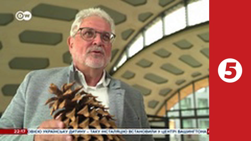 Український свідок