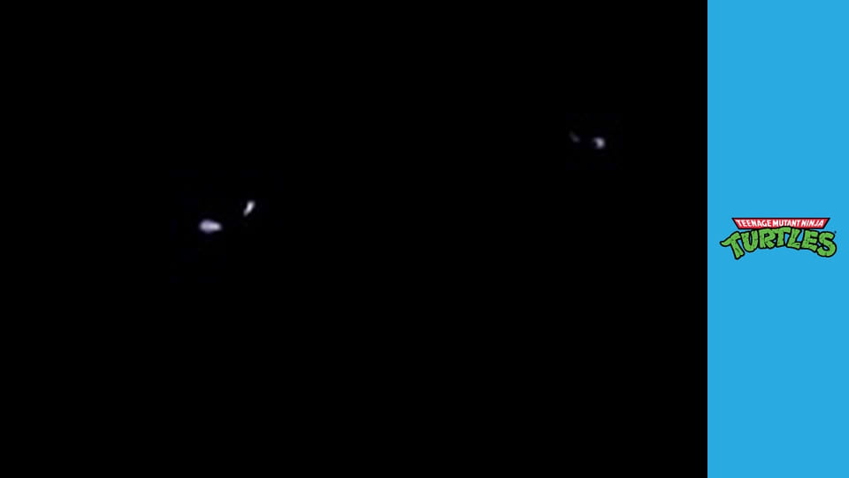 Teenage Mutant Ninja Turtles Season 5 Episode 1