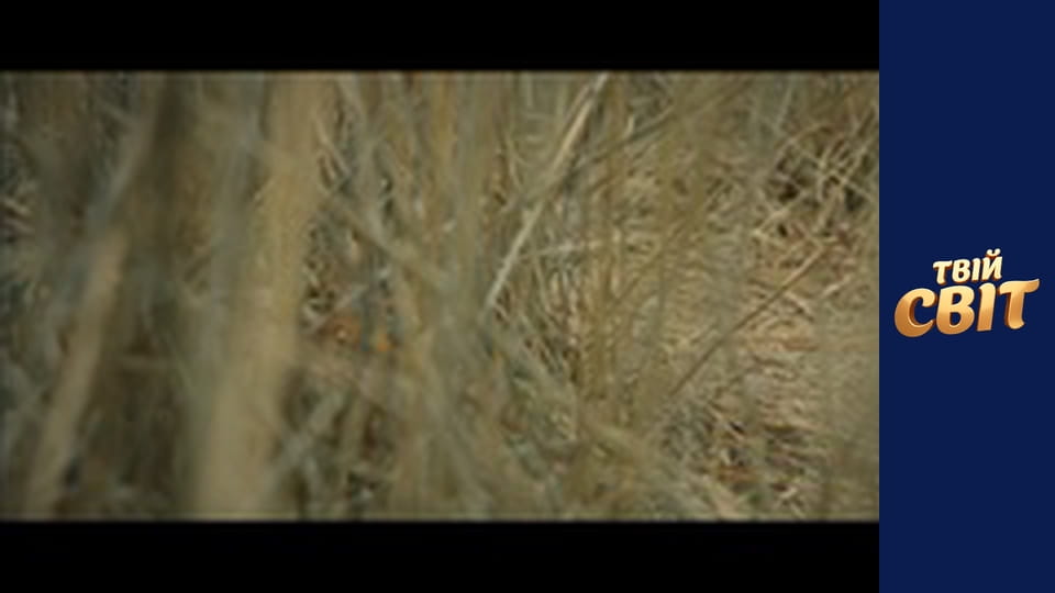 Миша Season 1 Episode 11