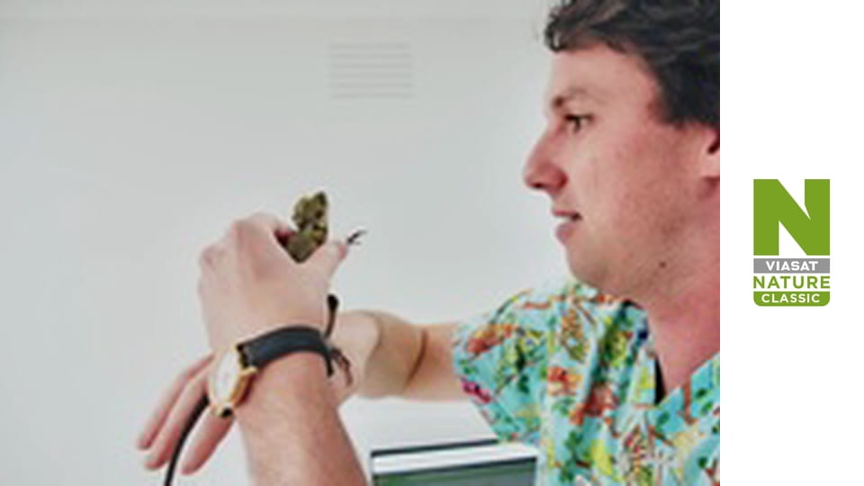 Клиника странных животных - Серия 2