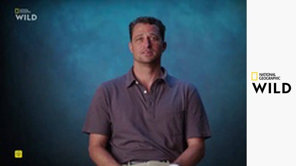 Кто-то меня укусил S1E2