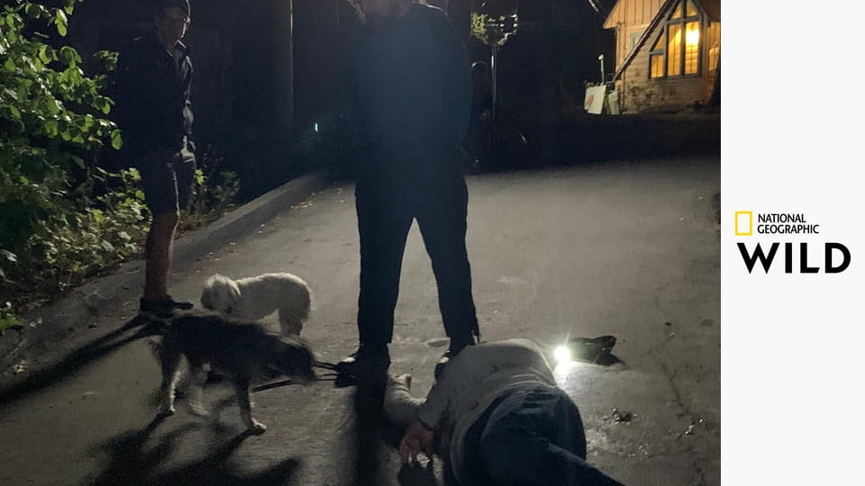 Кто-то меня укусил S1E2