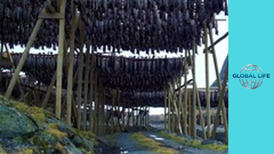 Массовое вымирание Сезон 1 Эпизод 2