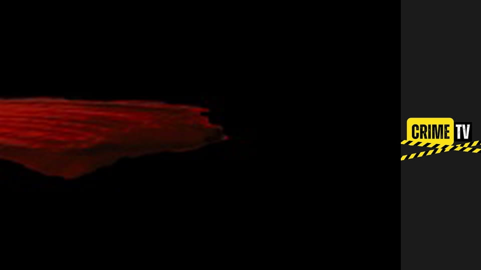 The Wolf of Wall Street